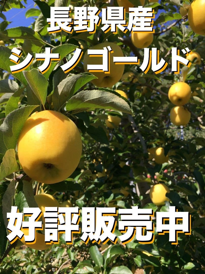 【マエケン】サンふじ　シナノゴールド　15キロ箱　家庭用　送料込み
