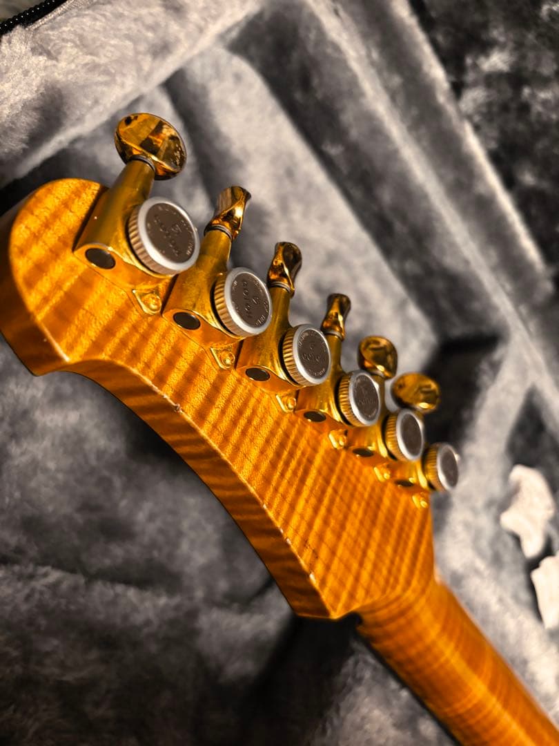 ギター Addictone Custom Guitars HSH