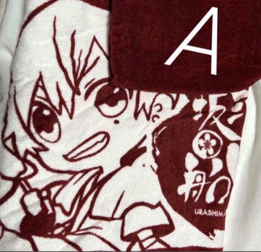 浦島坂田船　あほの坂田　となりの坂田