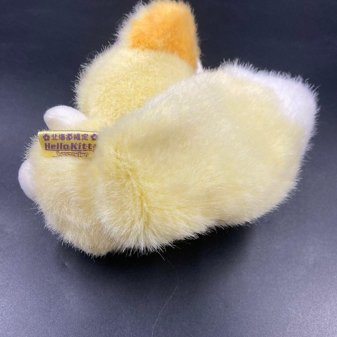 サンリオ 北海道限定 ハローキティ ラベンダー ぬいぐるみ マスコット