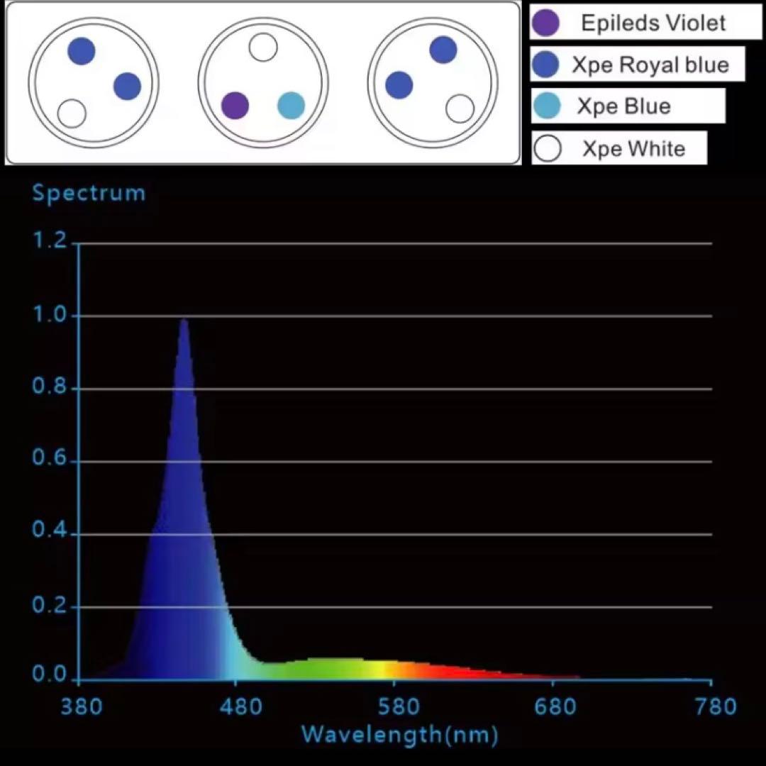 新品　マリンアクアリウム　サンゴ　海水魚　コーラルライト　SPECTRA
