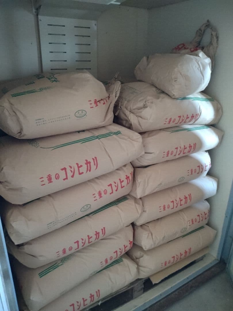 コシヒカリ 令和7年　玄米　30kg 三重県産