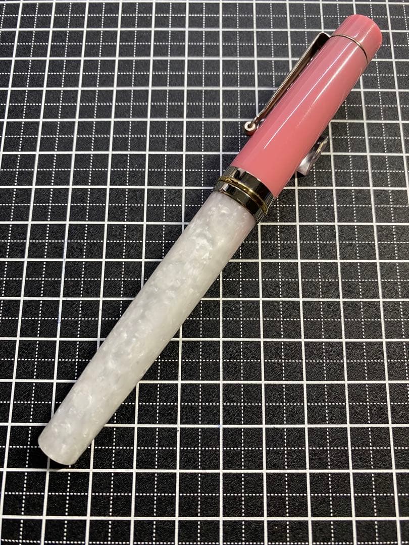 DELTA Vintage VOLONTA 万年筆　字幅F