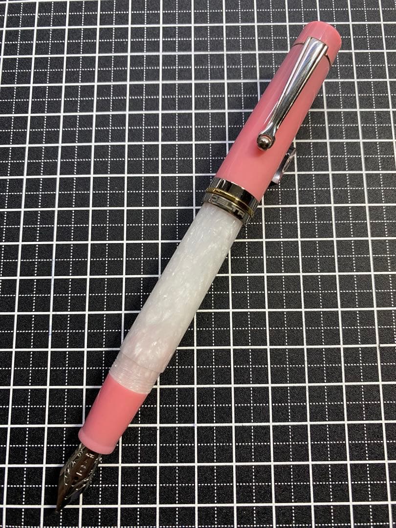 DELTA Vintage VOLONTA 万年筆　字幅F