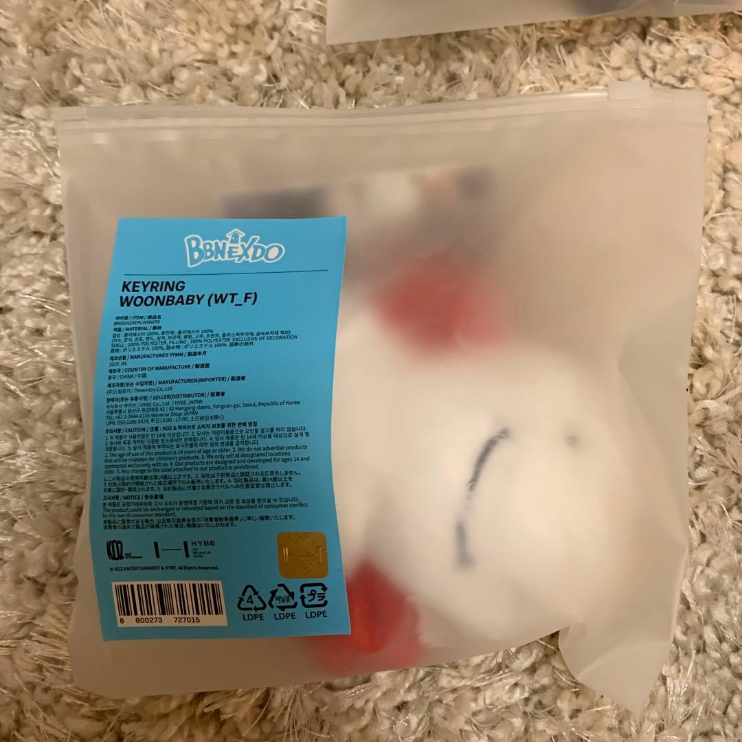 未開封　BOYNEXTDOOR プネクド　 ぬいぐるみ キーリング　 6個コンプ