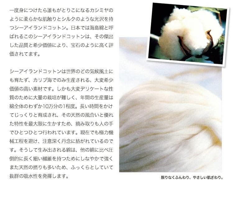 UCHINO 繊維の宝石海島綿 グレイスフル ゲストタオル