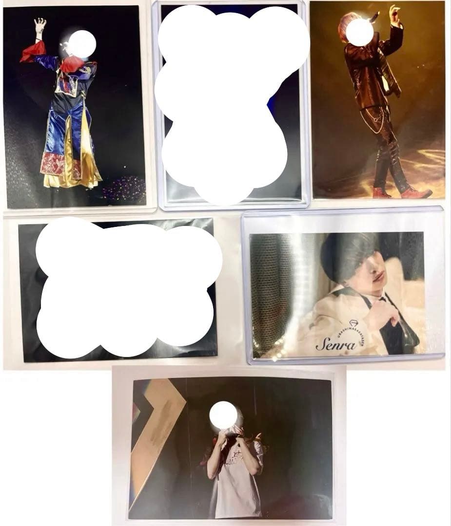 浦島坂田船 センラ フォトカード ブロマイド 実写 キョンシー plusss