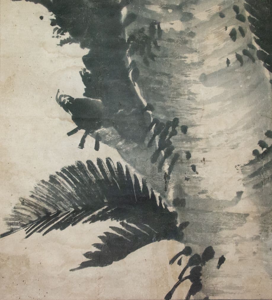 【真作】「蘇鉄」画　鳥取藩絵師　黒田稲皐 （養生箱付属）