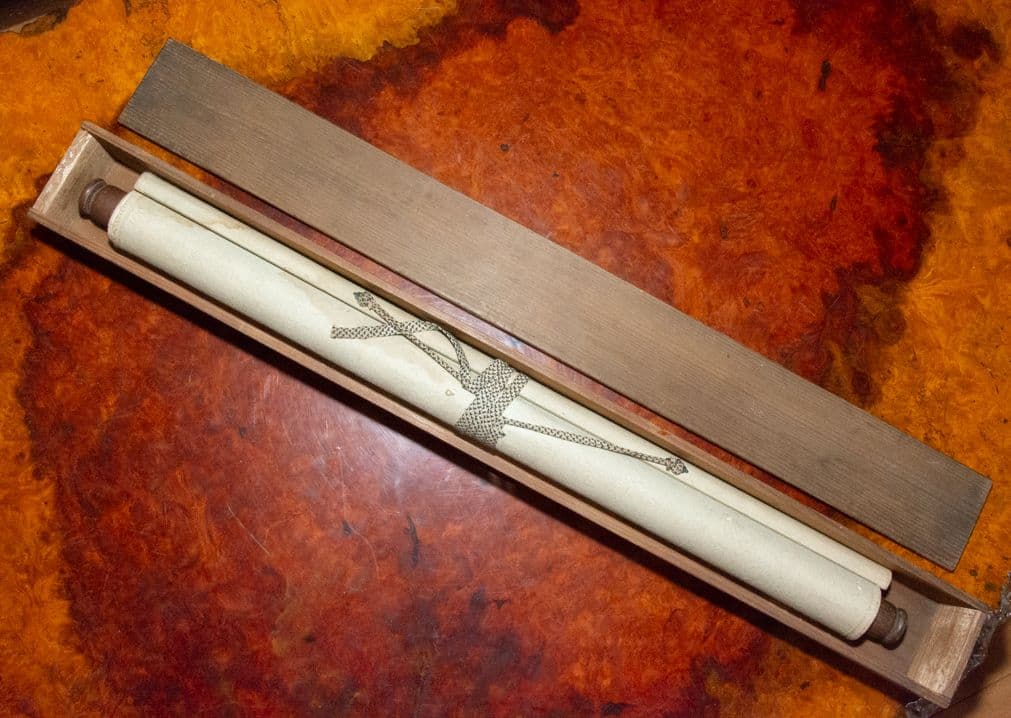 【真作】「蘇鉄」画　鳥取藩絵師　黒田稲皐 （養生箱付属）