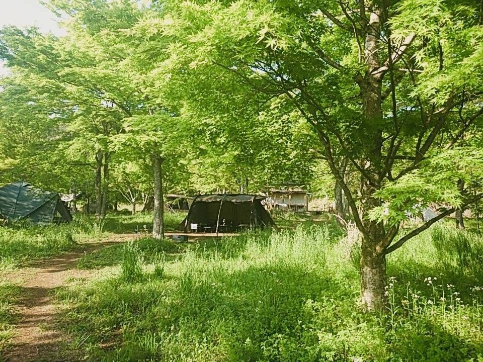 ミニマルワークス　V house M