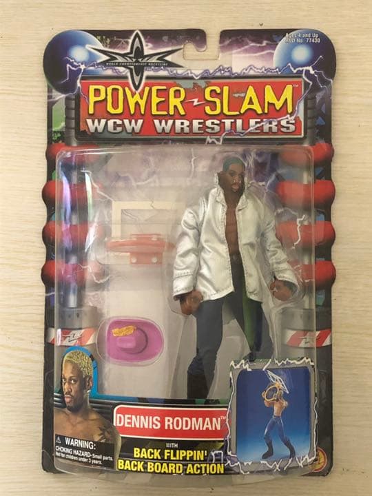 TOYBIZ WCW トイビズ NBA WWE デニス・ロドマン(グリーンヘア)