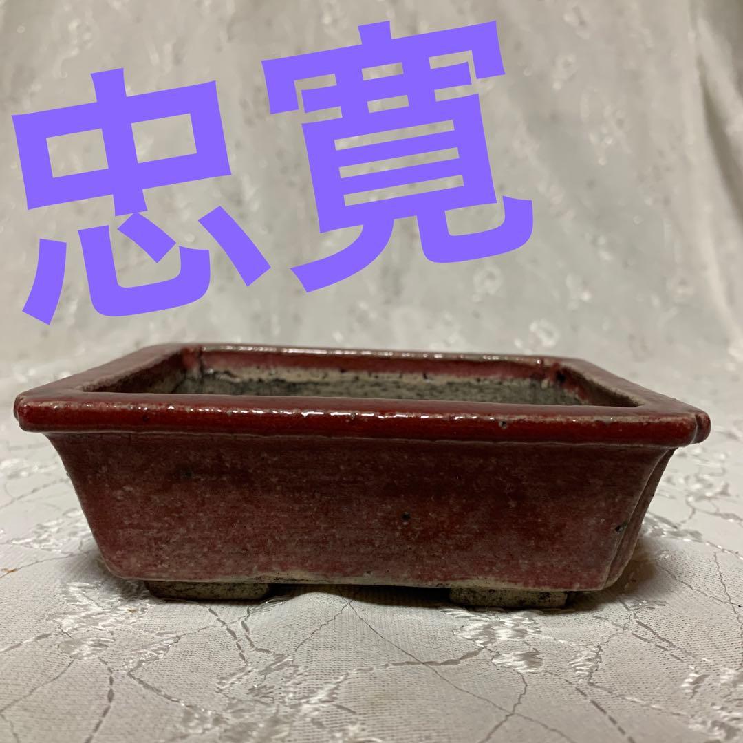忠寛　盆栽鉢　長方　朱色