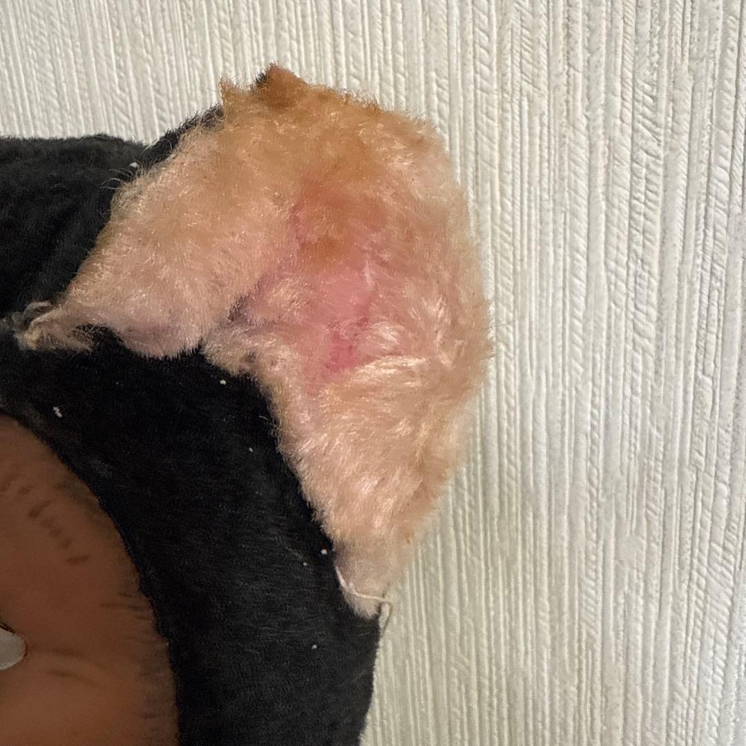 Hirsch Toys ヒルシュ　ラバーフェイス　ドール　ビンテージ　クマ