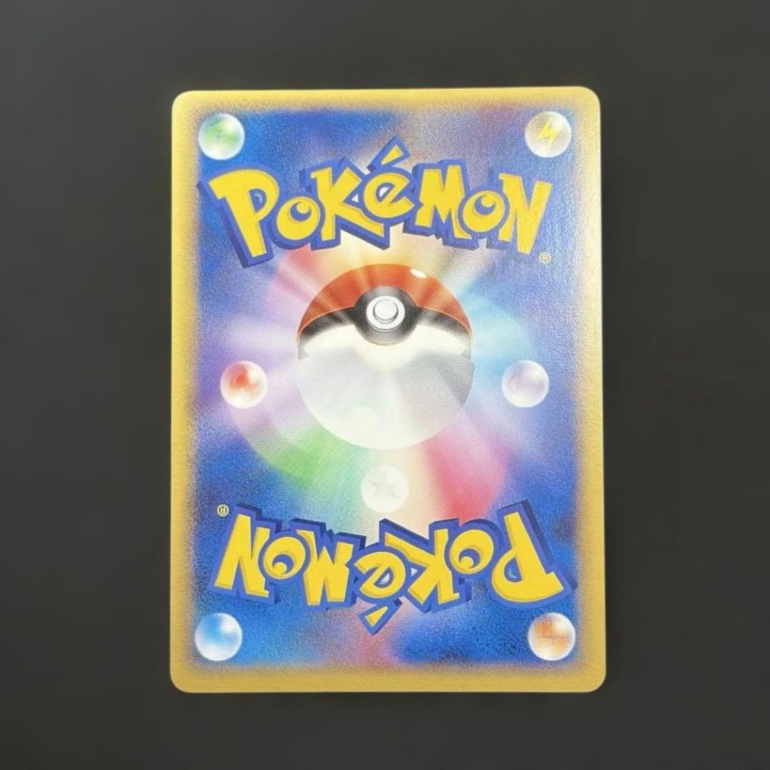 【希少ポケパーク限定】ポケモンカードゲーム フォレストシート プレミアムファイル