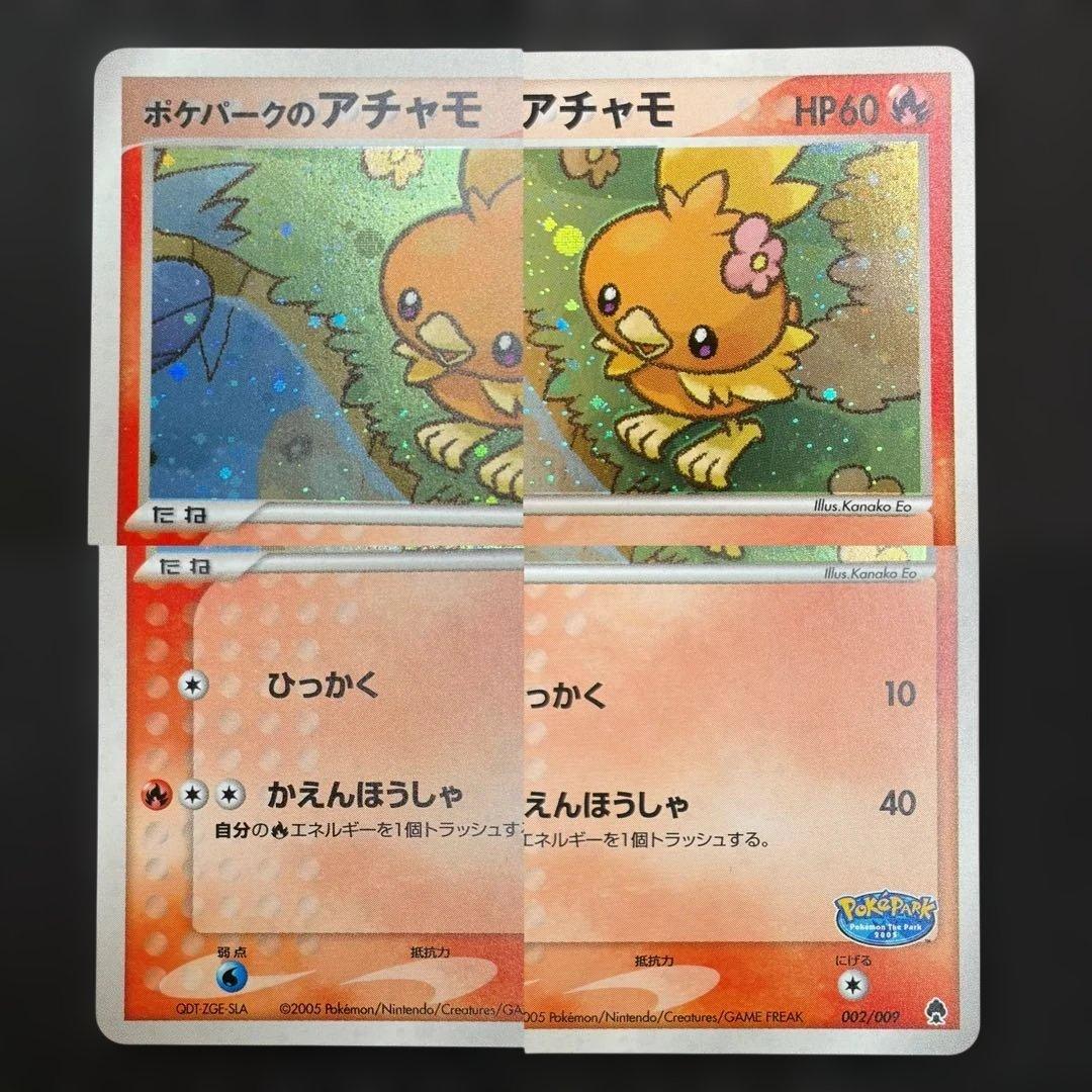 【希少ポケパーク限定】ポケモンカードゲーム フォレストシート プレミアムファイル