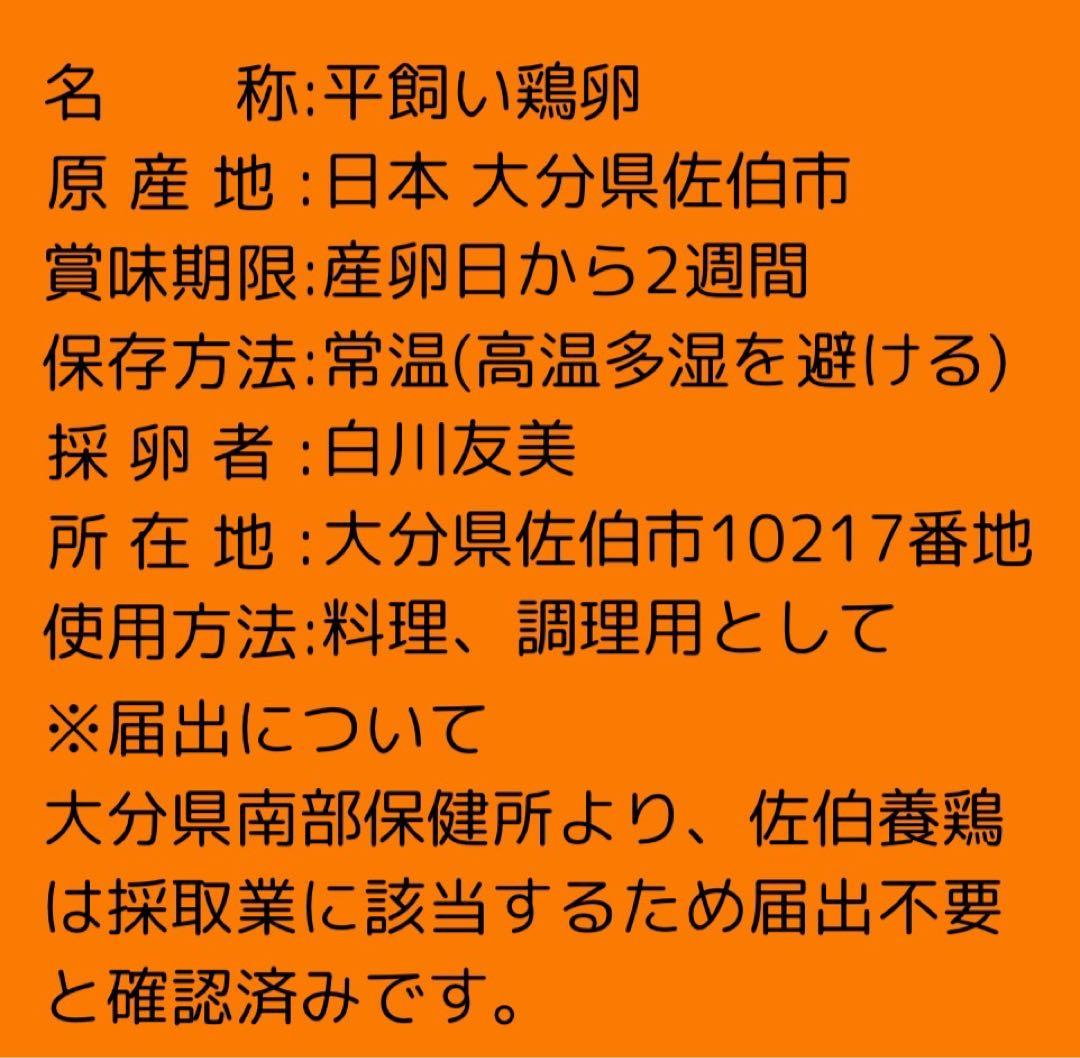 平飼い鶏卵 160個入り 大分県産