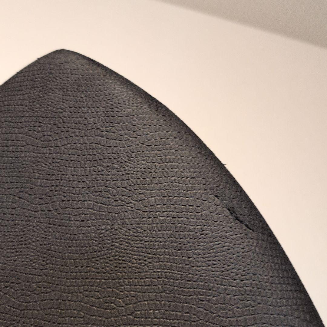 【只今今月末まで１万円値下げ中】プレセボ　オルカ　placebo ORCA