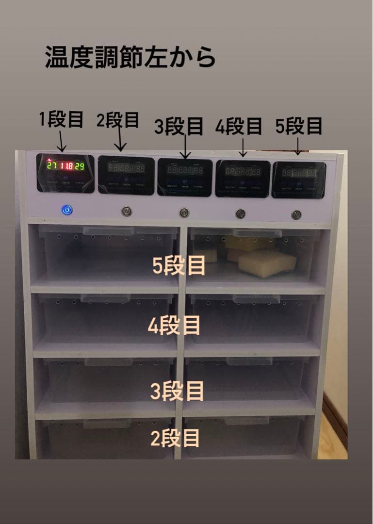 温室・ショーケース 10個収納 デジタル温度計付き