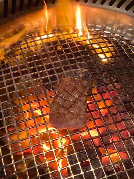 ステンレス製(10枚)　焼肉用　新品未使用　業務用10枚