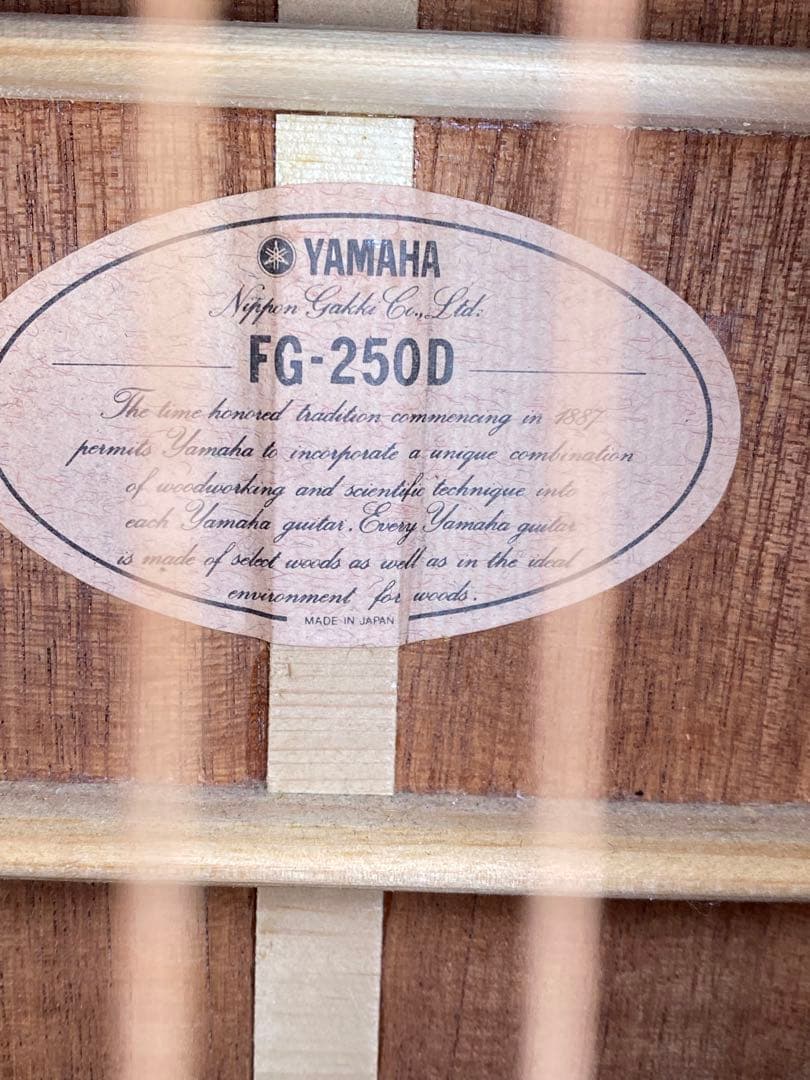 ギター YAMAHA FG-250D