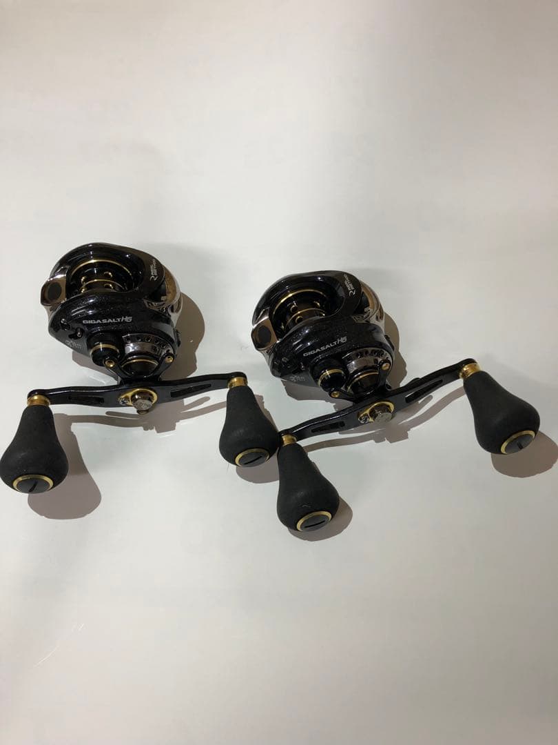 リアルメソッド(タカミヤ)、ギガソルトHG、二個セット