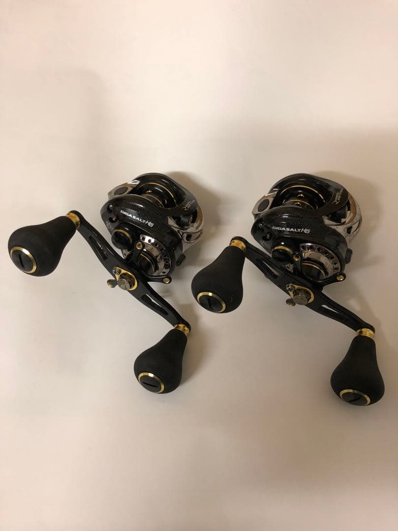 リアルメソッド(タカミヤ)、ギガソルトHG、二個セット