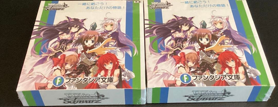 ヴァイス　富士見ファンタジア文庫　再販　シュリンク付き　新品　未開封　2ボックス