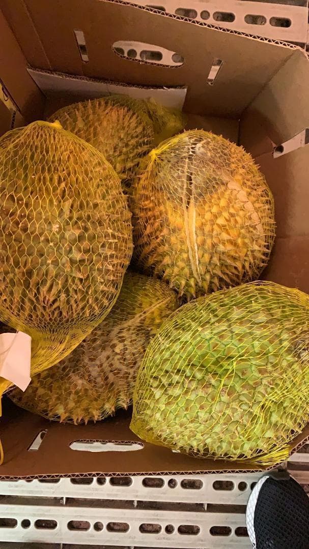 訳有タイ産ドリアン　泰国榴莲　10ｋｇ前後発送