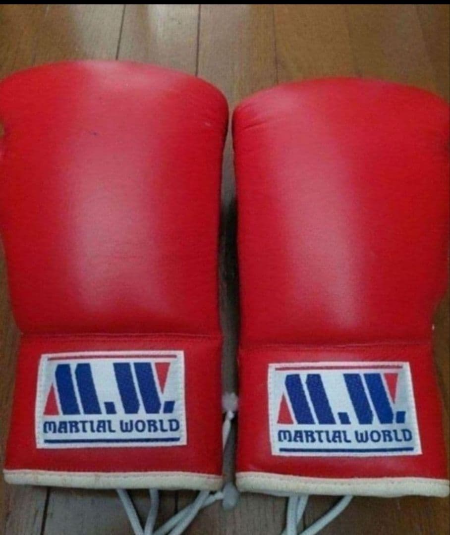 紐10 OZボクシンググローブ