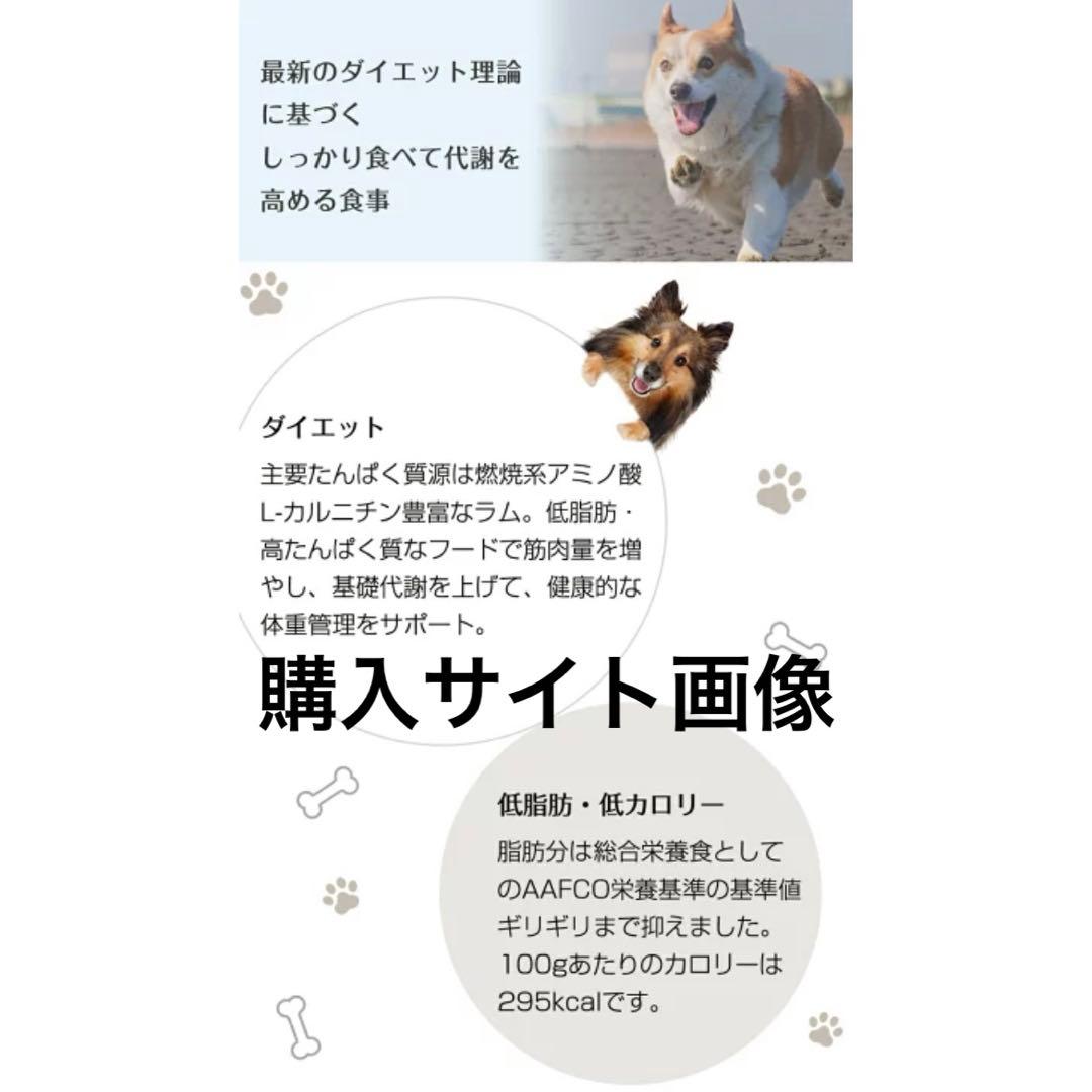 未開封VANGUARD レジームスモール（ラム） ドライフード5.5kg