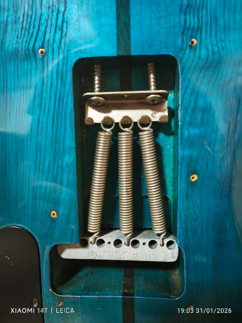 【極希少色1983年製Washburn A-20V StagTeal Green