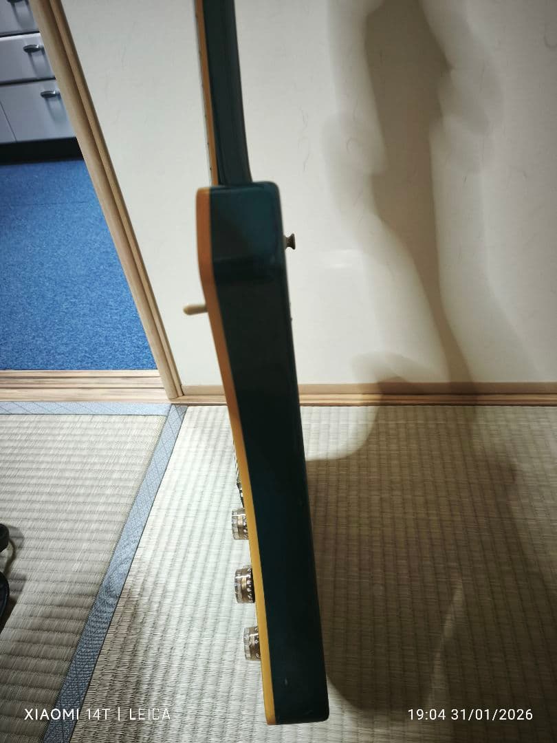 【極希少色1983年製Washburn A-20V StagTeal Green