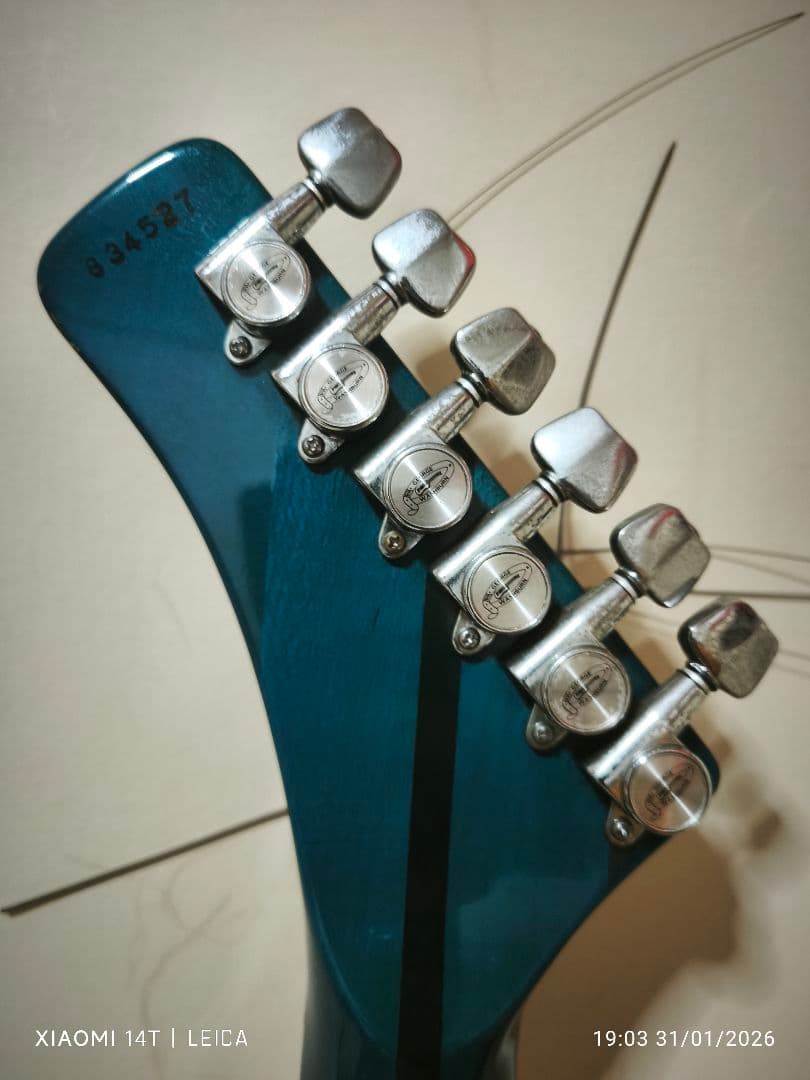 【極希少色1983年製Washburn A-20V StagTeal Green