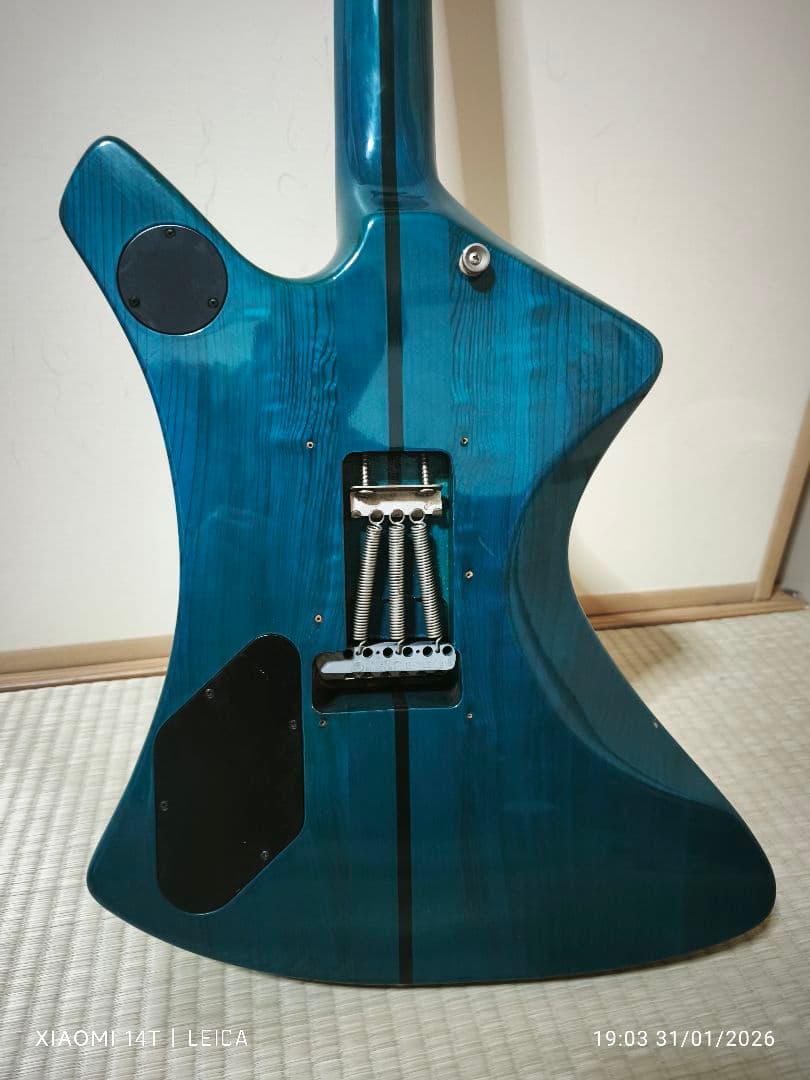 【極希少色1983年製Washburn A-20V StagTeal Green