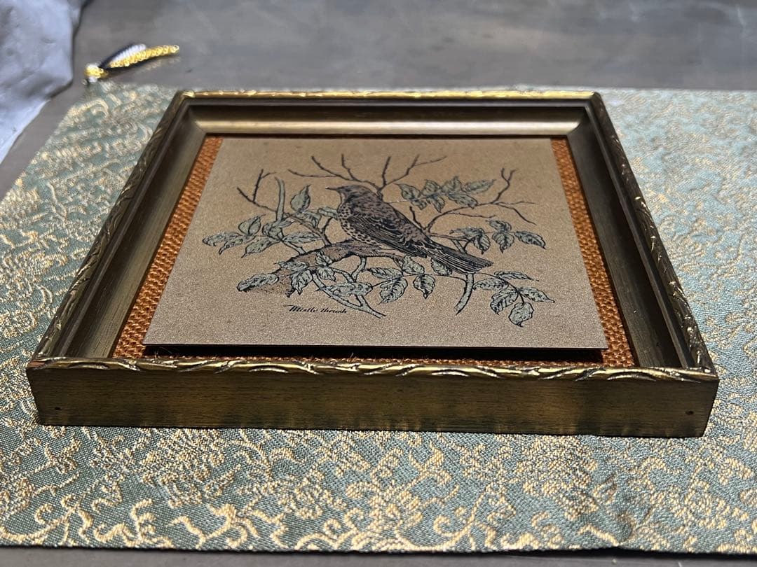 ヤドリギツグミ Hadley ティタニウムエッチング 1976