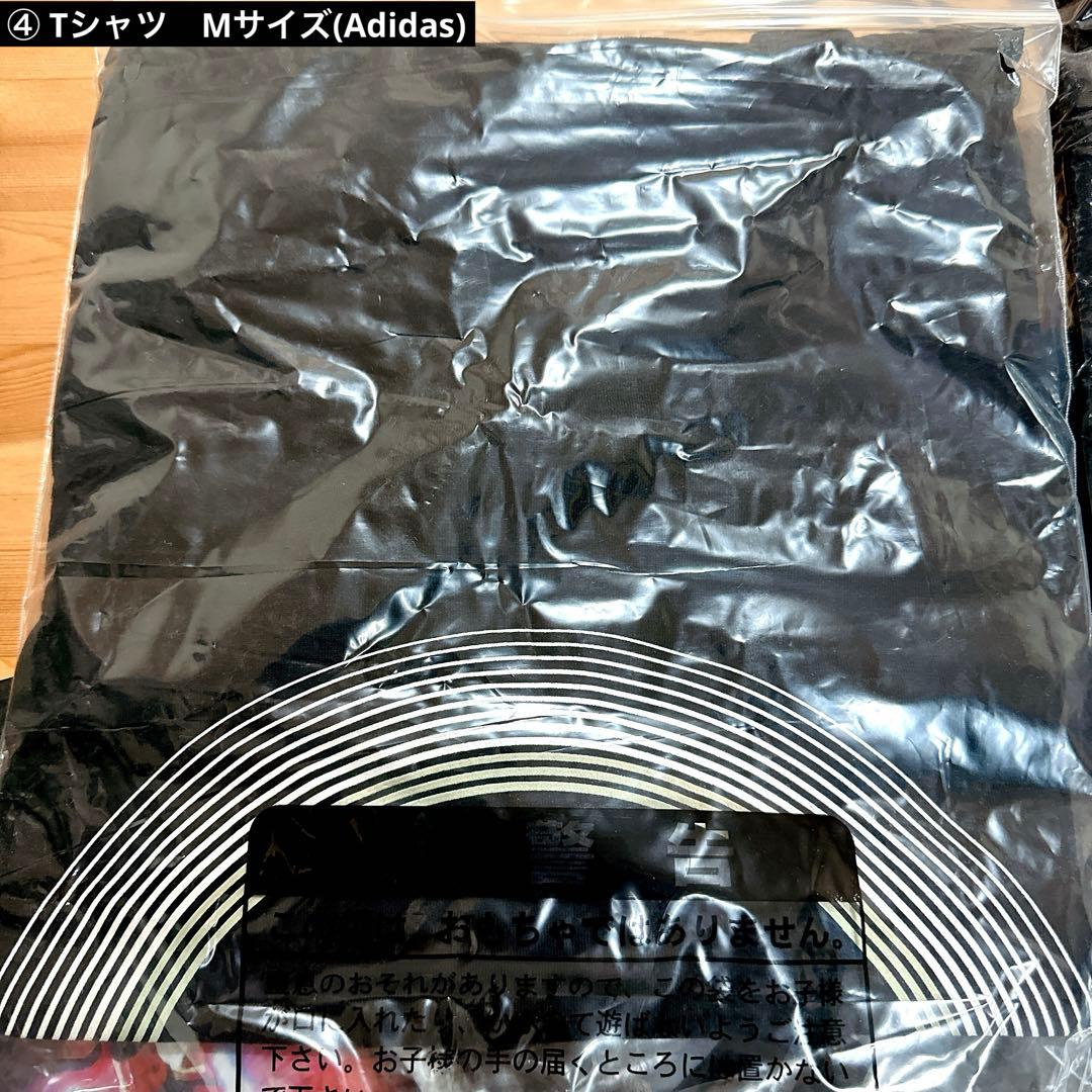 LUNA SEA サイン本　グッズセット　ロサンゼルス　3D ルナシー