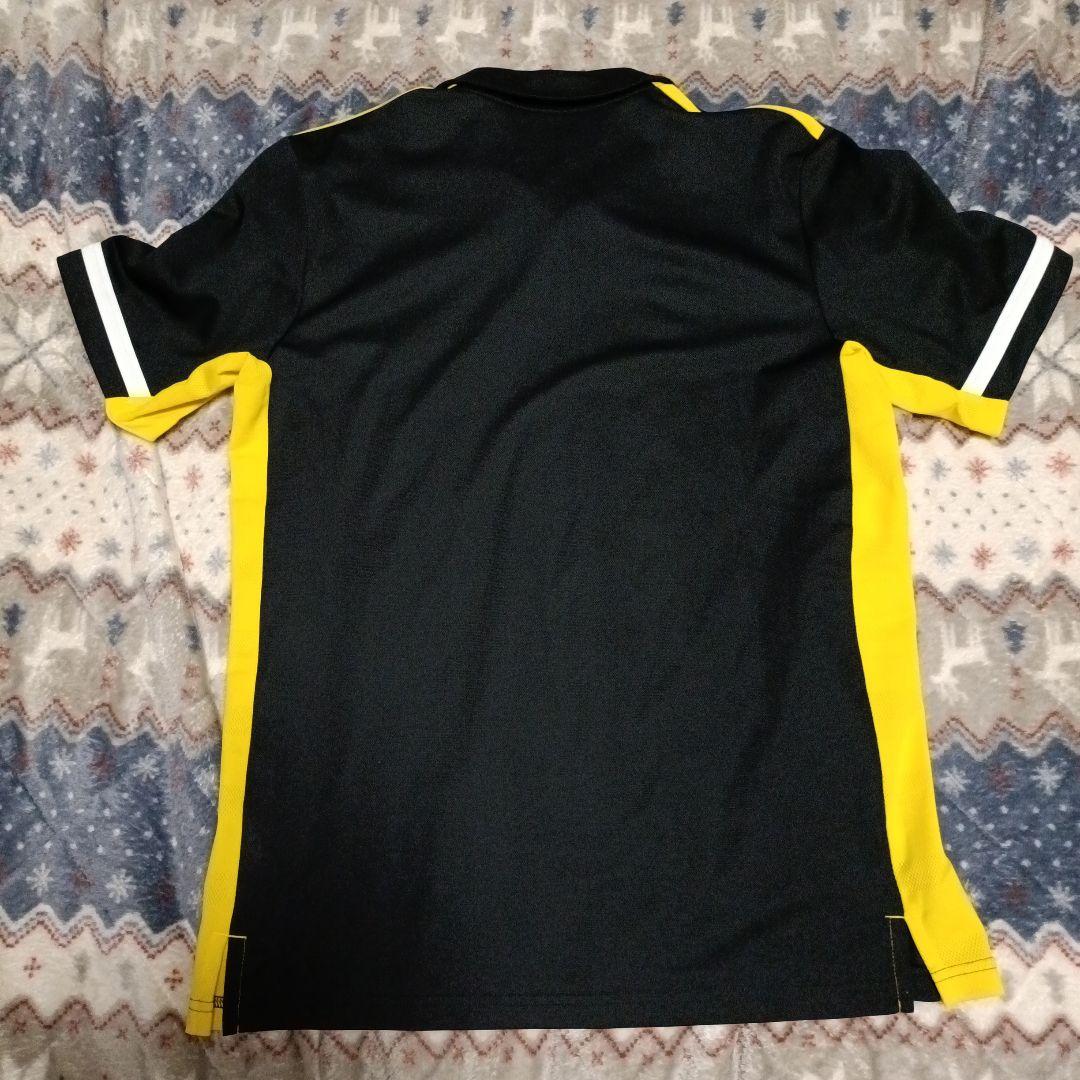 サンゴリアスポロシャツ