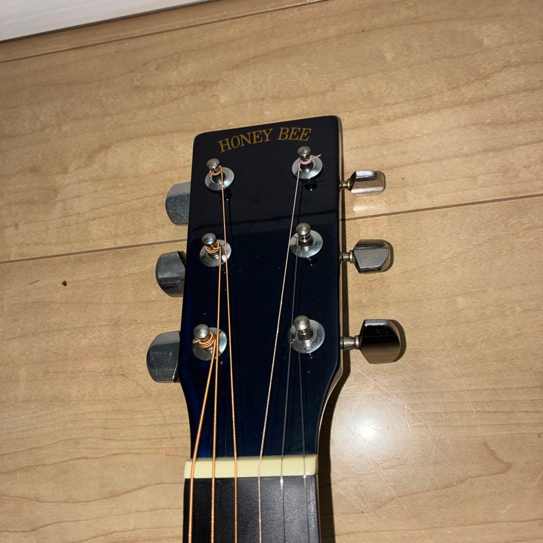 弦新品/HONEY BEE F-15 ハニービー アコースティックギター