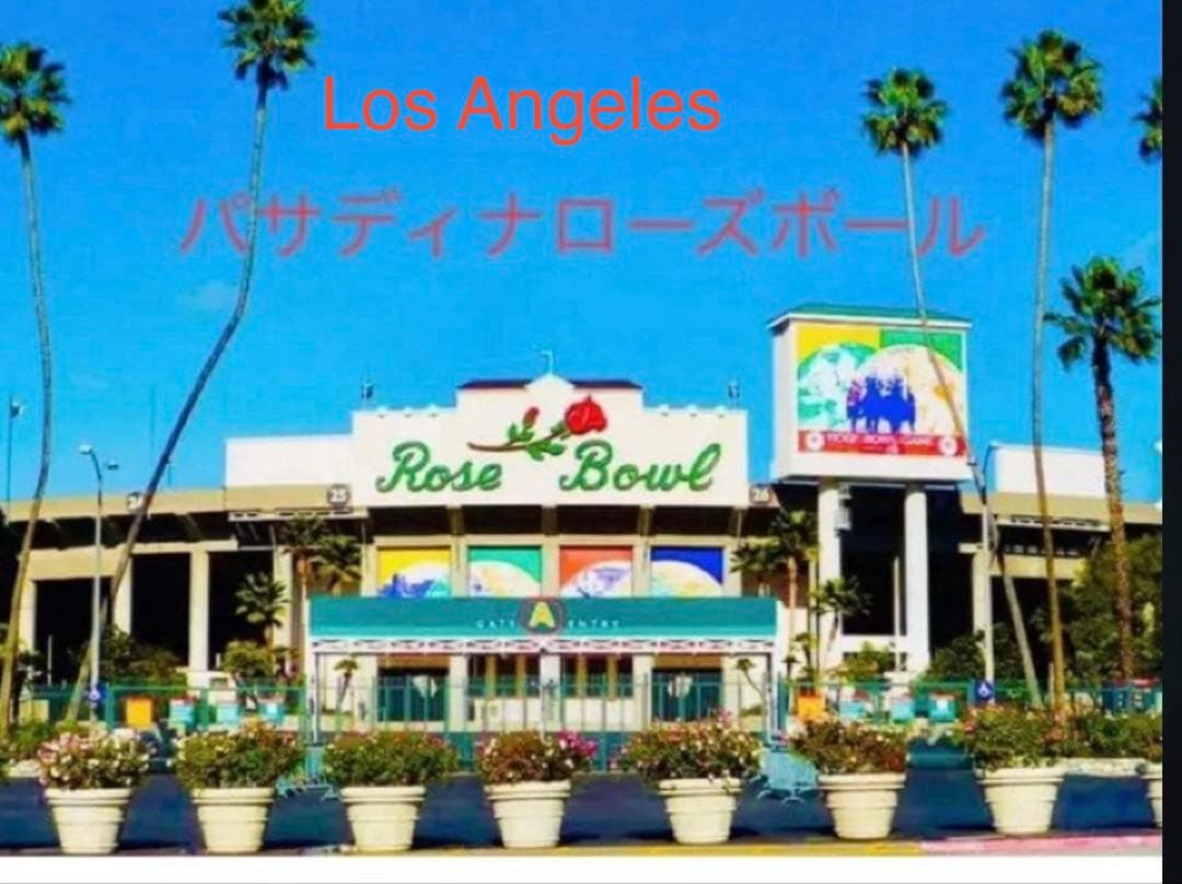 180万円相当1.000枚セットキャンプ柄百年前の版画紙ラベル当時物アンティーク