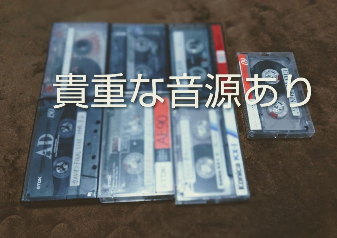【貴重】新堂敦士率いるカメレオンファンクラブ会報 全20冊 【音源などおまけ付】