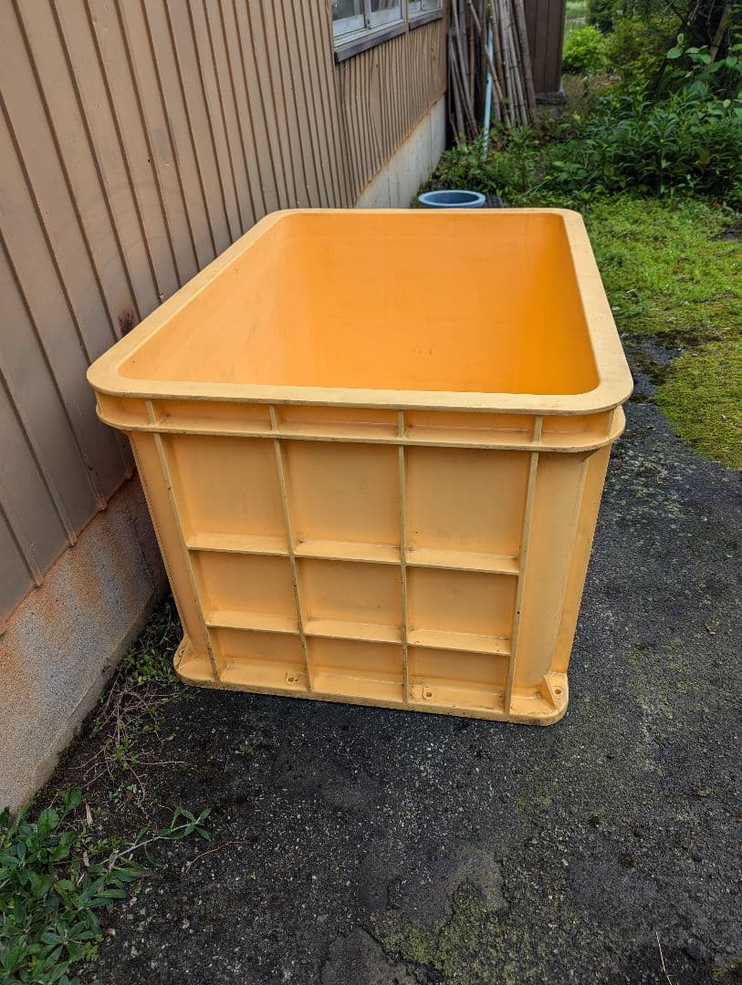 ミツル大型水槽