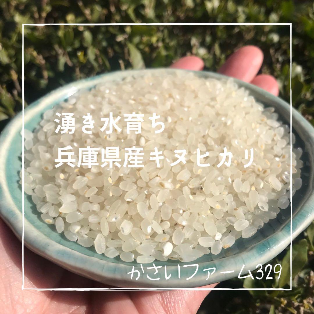 新米★山の湧き水で育てた農家のお米兵庫県産キヌヒカリ 10kg