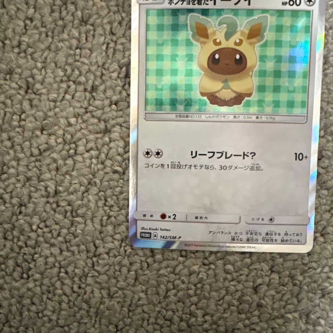 ポンチョを着たイーブイ リーフィア