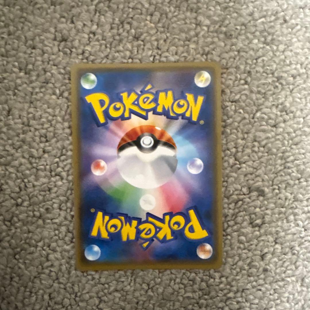 ポンチョを着たイーブイ リーフィア