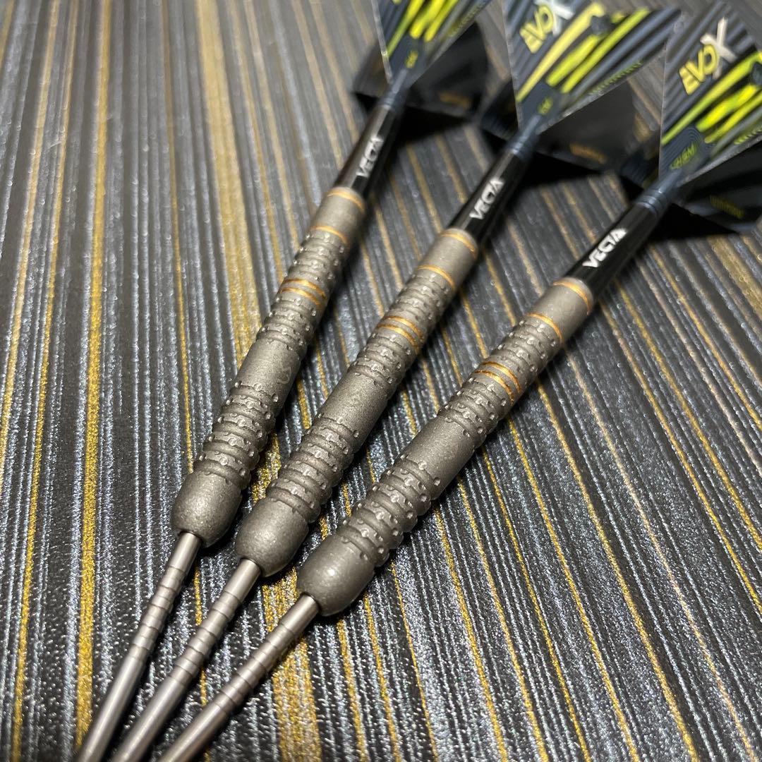 定価約18000円 マイケル ヴァン ガーウェン evo X 22.5g 最新作