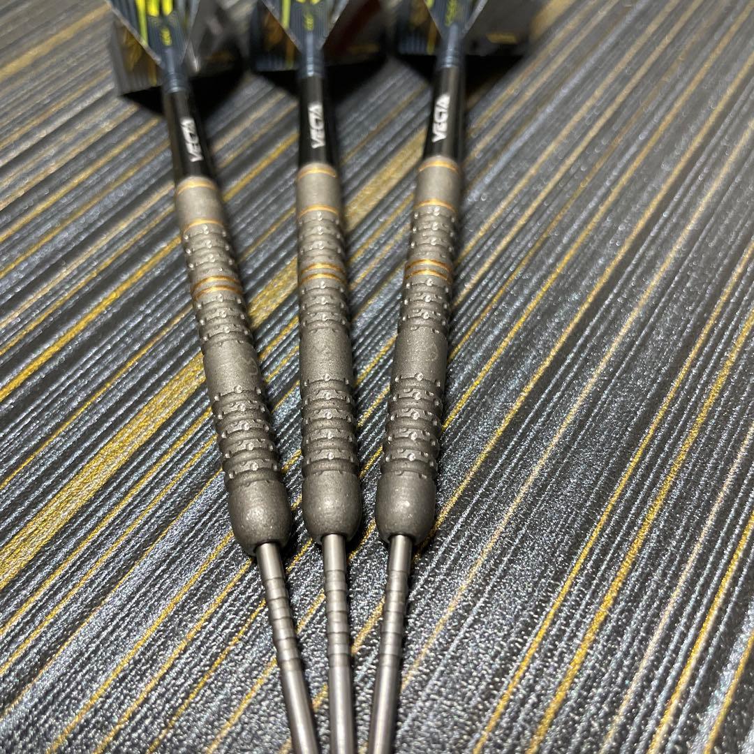 定価約18000円 マイケル ヴァン ガーウェン evo X 22.5g 最新作