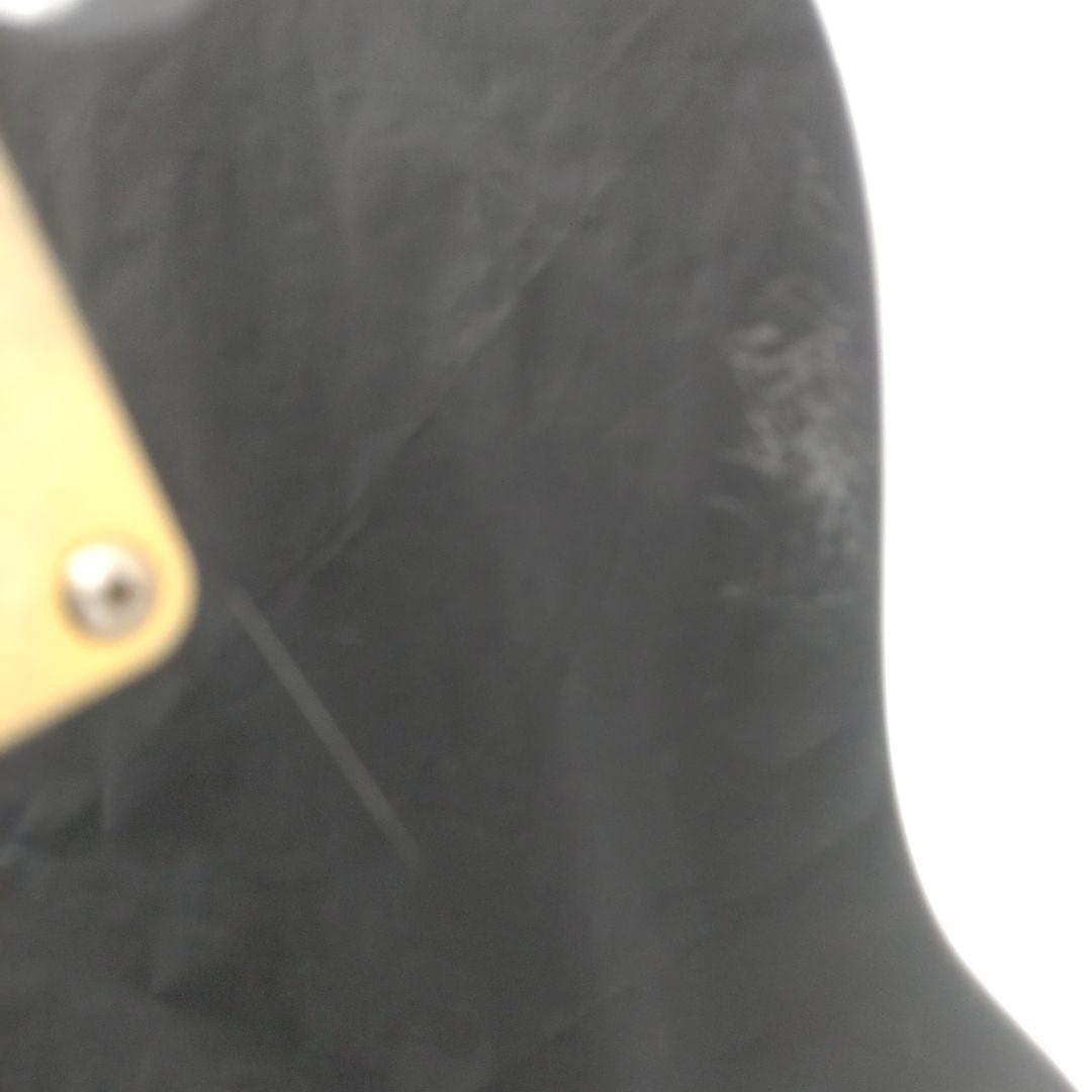 FERNANDES TEJ Limited Edition TEJ-55G 布袋