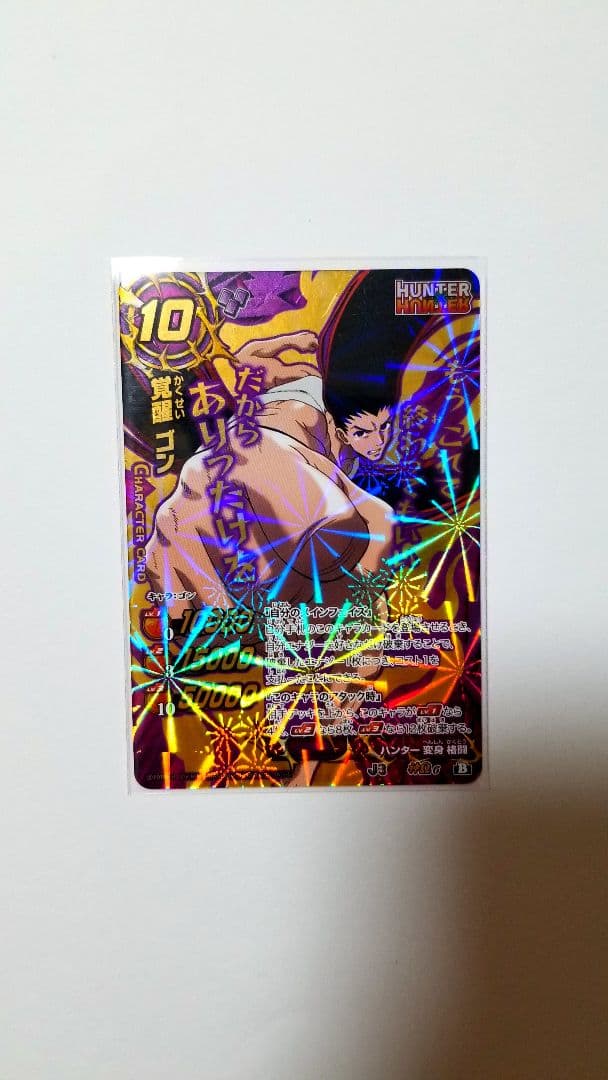 覚醒ゴン 神Ω アルカ・ゾルディック ミラバト