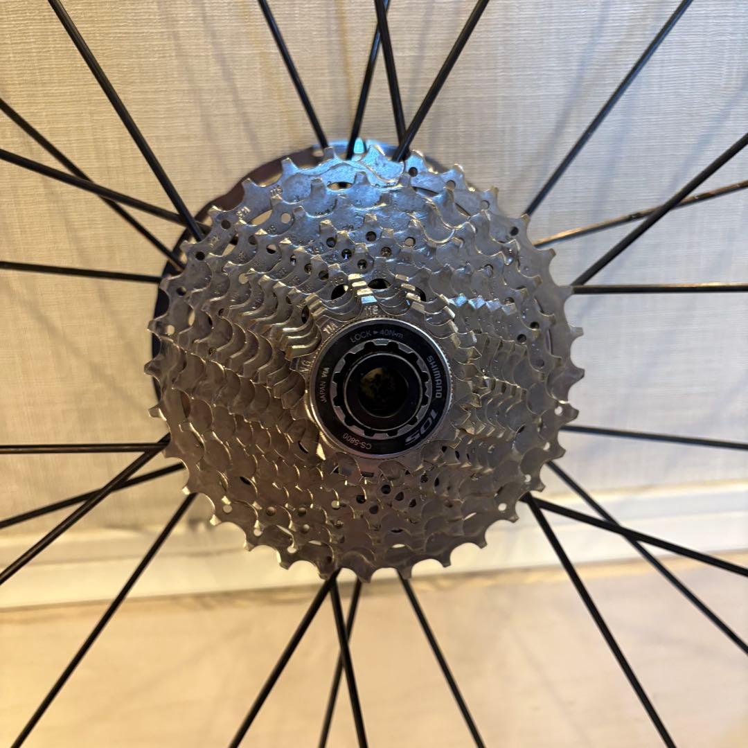 パーツ DT Swiss R23 Spline cen/disc F15 R12