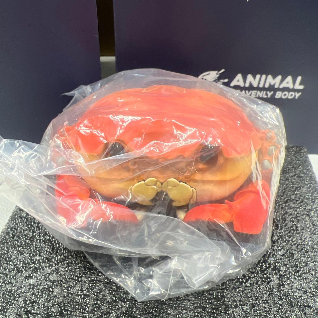 【動物の惑星】中秋限定　シャンハイガニ